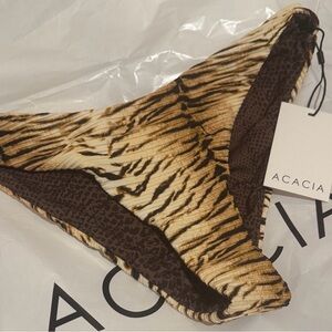 Acacia capsule Zuma bottom Tiger!
